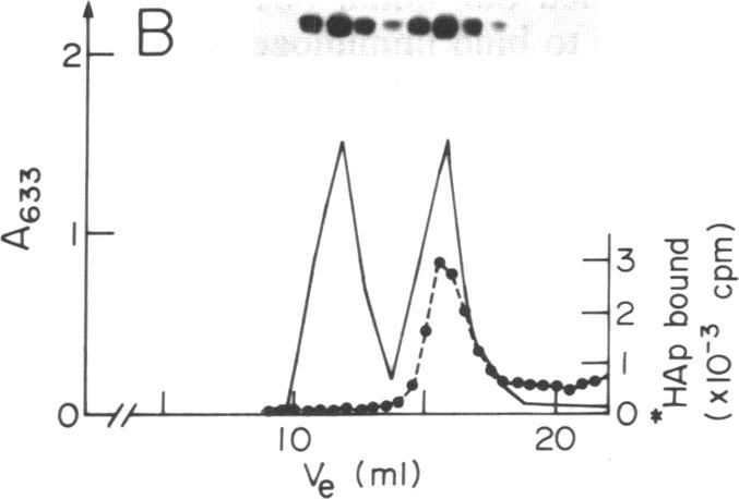 https://cdn.ncbi.nlm.nih.gov/pmc/blobs/ce20/51403/3ea80eb7f664/pnas01058-0195-d.jpg