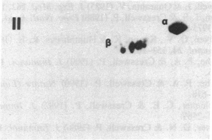 https://cdn.ncbi.nlm.nih.gov/pmc/blobs/ce20/51403/46e9c618f9ab/pnas01058-0195-c.jpg