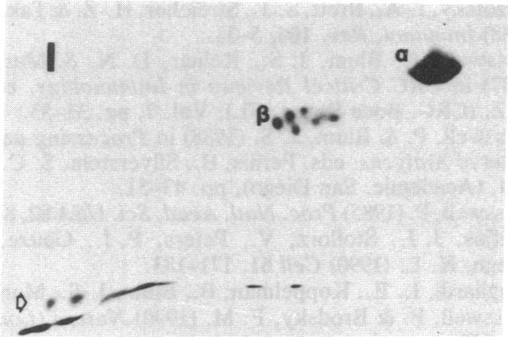 https://cdn.ncbi.nlm.nih.gov/pmc/blobs/ce20/51403/a151ba006b64/pnas01058-0195-a.jpg