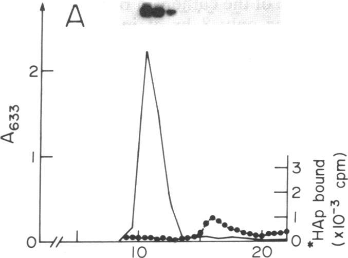 https://cdn.ncbi.nlm.nih.gov/pmc/blobs/ce20/51403/b699593e2bf0/pnas01058-0195-b.jpg