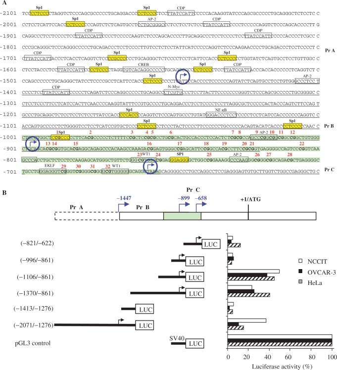 https://cdn.ncbi.nlm.nih.gov/pmc/blobs/ce21/2175345/ee05db517ab2/gkm896f1.jpg