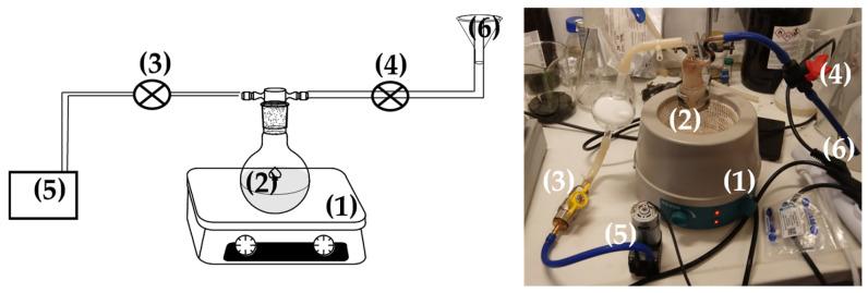 https://cdn.ncbi.nlm.nih.gov/pmc/blobs/ce22/11643650/525c1d15b9c9/nanomaterials-14-01938-g001.jpg