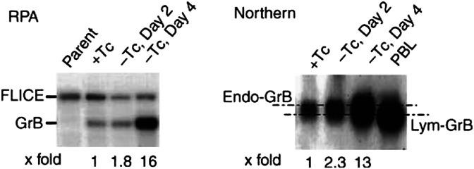 https://cdn.ncbi.nlm.nih.gov/pmc/blobs/ce22/2394226/49d4ac854f58/89-6601051f2.jpg