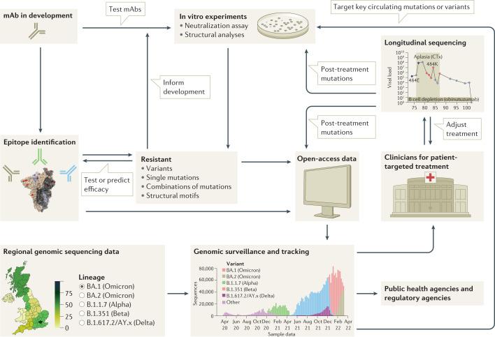 https://cdn.ncbi.nlm.nih.gov/pmc/blobs/ce23/9616429/687f1c52c1b0/41579_2022_809_Fig4_HTML.jpg