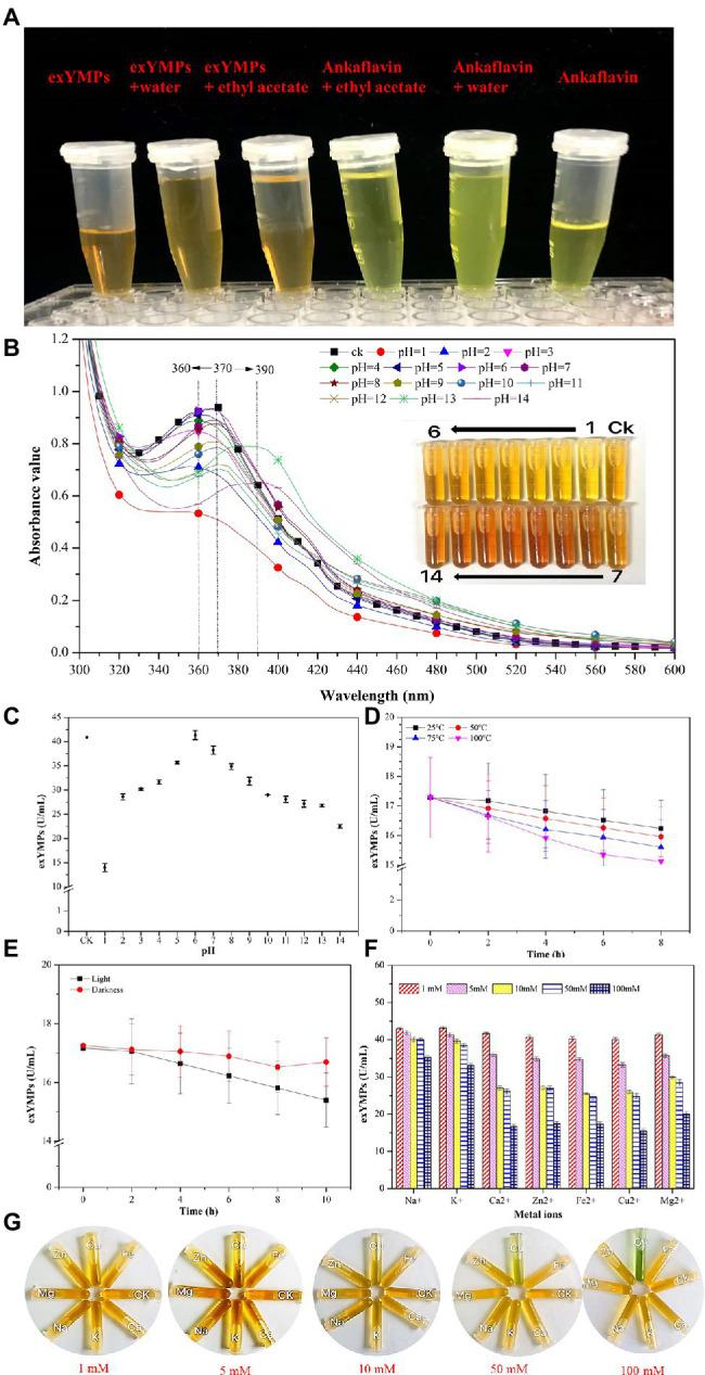 https://cdn.ncbi.nlm.nih.gov/pmc/blobs/ce25/9218666/55de4afb2972/fmicb-13-914828-g005.jpg