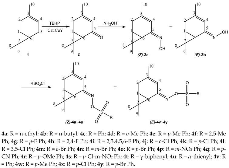 https://cdn.ncbi.nlm.nih.gov/pmc/blobs/ce27/6384770/fe5f799f0b45/molecules-24-00477-sch001.jpg