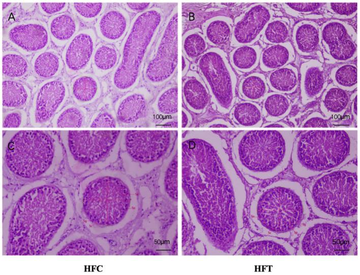 https://cdn.ncbi.nlm.nih.gov/pmc/blobs/ce28/11097974/d84afcebb7d9/fmicb-15-1396796-g0007.jpg