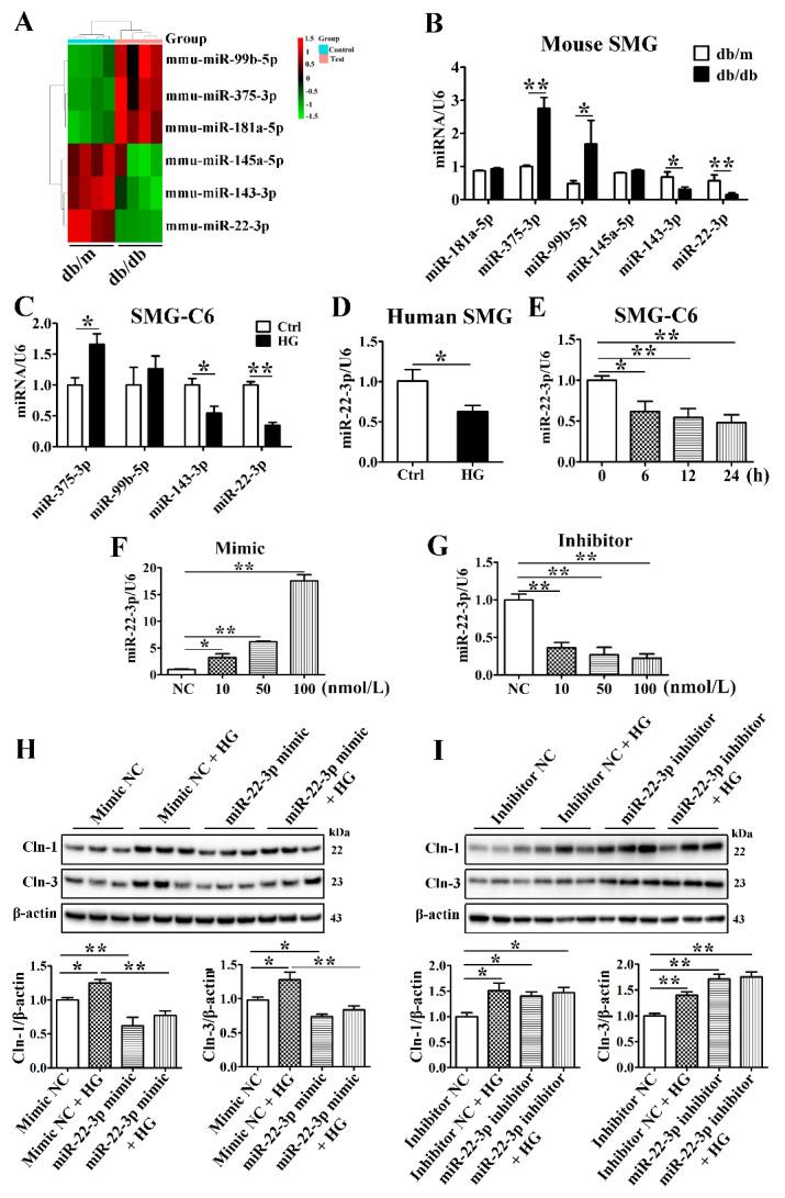https://cdn.ncbi.nlm.nih.gov/pmc/blobs/ce28/8617860/19864bd14573/cells-10-03230-g004.jpg