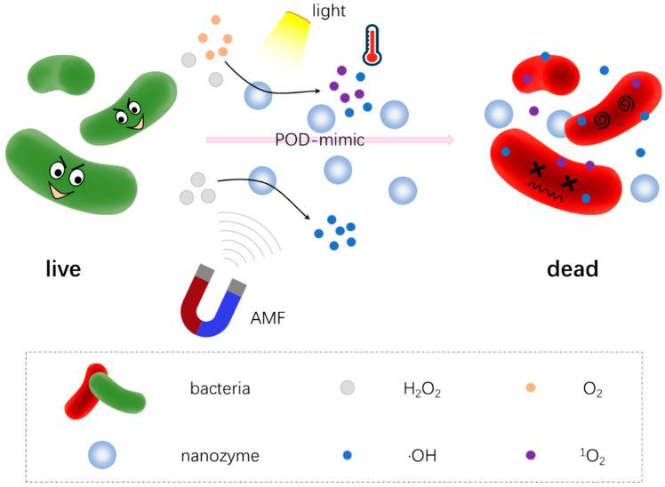 https://cdn.ncbi.nlm.nih.gov/pmc/blobs/ce28/8944833/286753924768/antibiotics-11-00390-g006.jpg