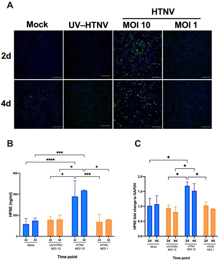 https://cdn.ncbi.nlm.nih.gov/pmc/blobs/ce28/8954369/a4caa0a054b6/viruses-14-00450-g004.jpg