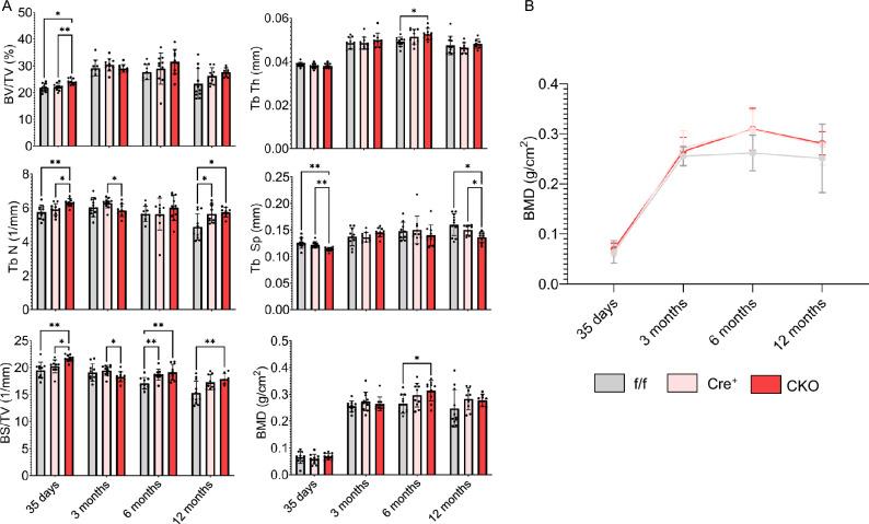 https://cdn.ncbi.nlm.nih.gov/pmc/blobs/ce29/12280110/b4b55d82b413/41598_2025_12017_Fig5_HTML.jpg
