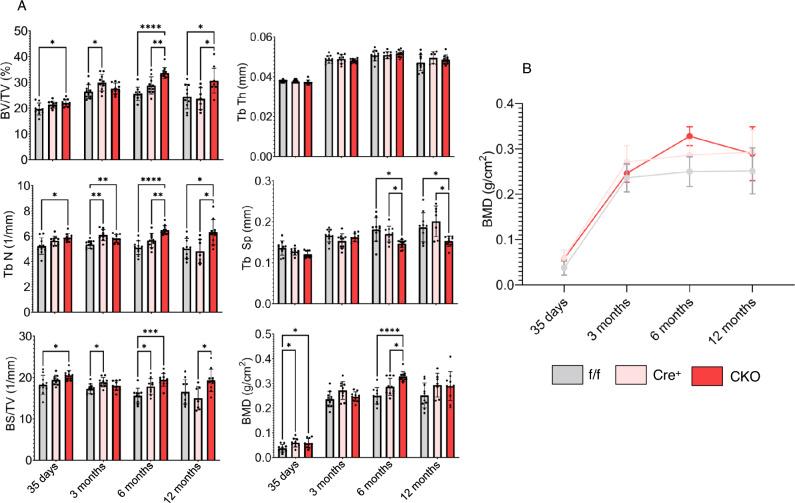 https://cdn.ncbi.nlm.nih.gov/pmc/blobs/ce29/12280110/e782a4b71a76/41598_2025_12017_Fig6_HTML.jpg