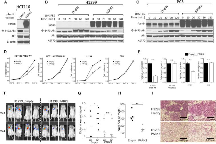https://cdn.ncbi.nlm.nih.gov/pmc/blobs/ce2a/6167957/acf516233bf2/gr3.jpg