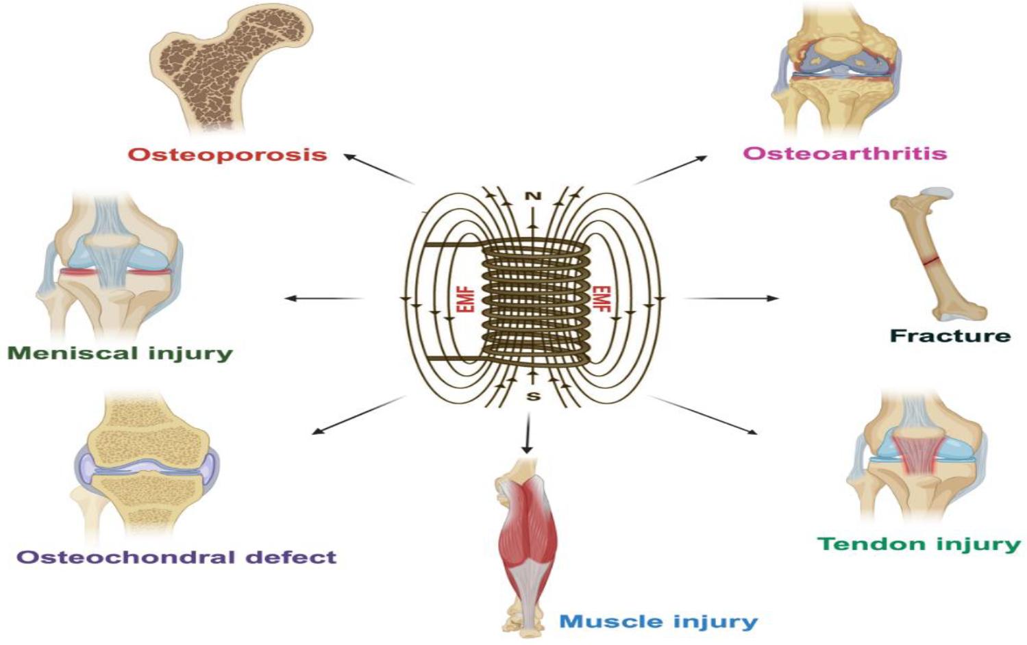 https://cdn.ncbi.nlm.nih.gov/pmc/blobs/ce2b/11258965/0bd7978c6c60/nihms-2005305-f0002.jpg