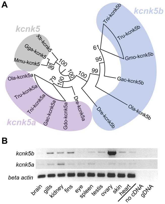 https://cdn.ncbi.nlm.nih.gov/pmc/blobs/ce2c/3894163/b7ef3c34ecfe/pgen.1004080.g004.jpg