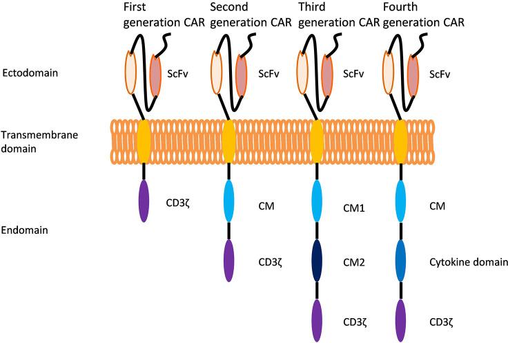 https://cdn.ncbi.nlm.nih.gov/pmc/blobs/ce2f/9905114/e0bd2dbfa030/fimmu-14-1063454-g001.jpg
