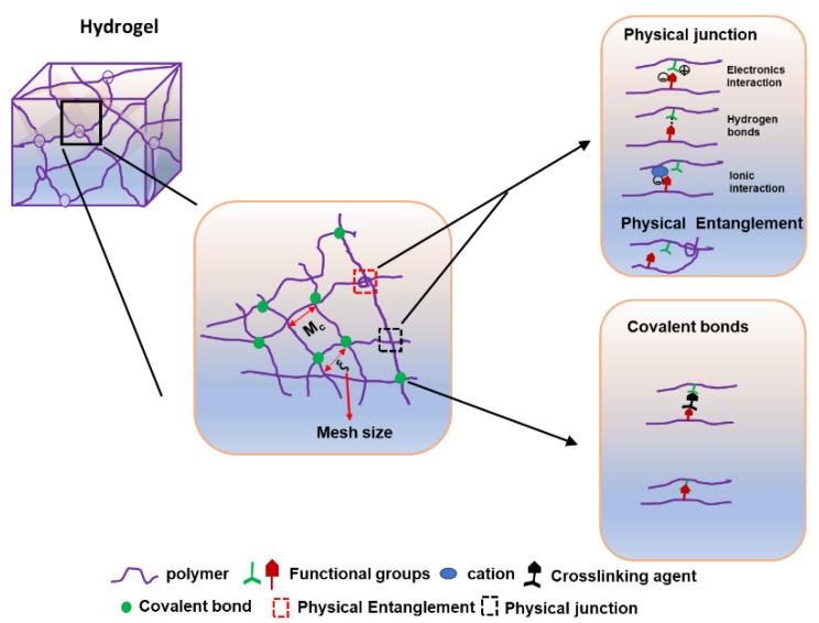 https://cdn.ncbi.nlm.nih.gov/pmc/blobs/ce31/9104731/62f069cb28f6/molecules-27-02902-g004.jpg