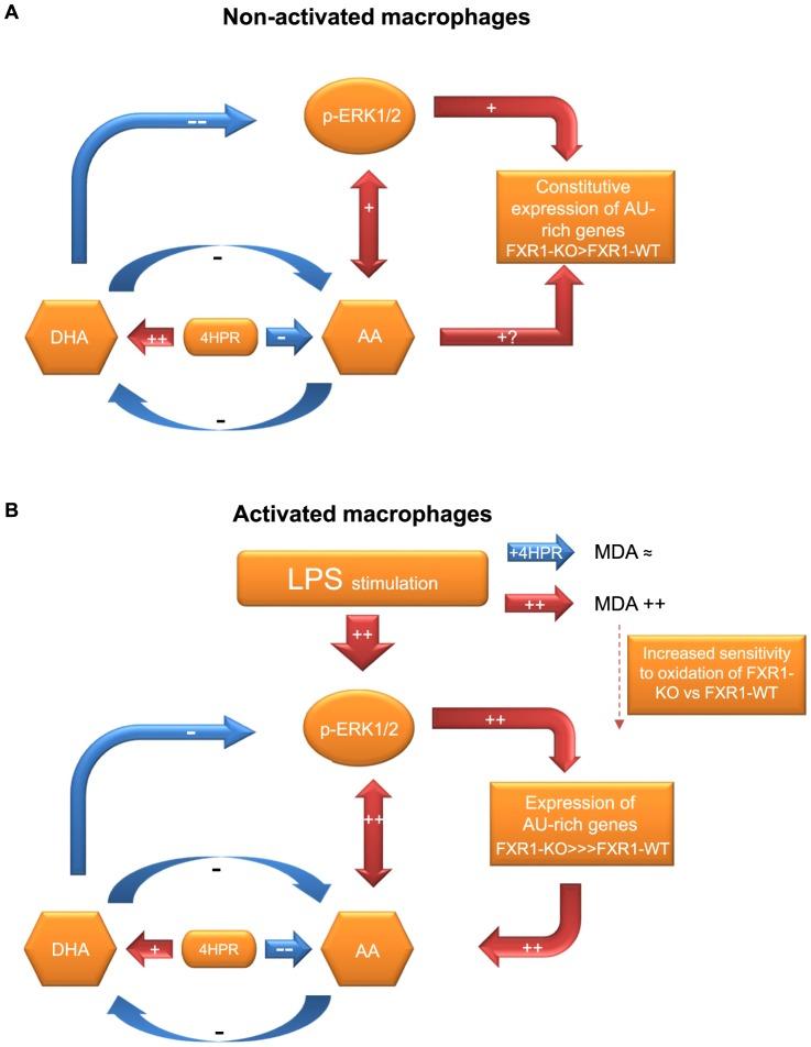 https://cdn.ncbi.nlm.nih.gov/pmc/blobs/ce32/3771966/e95de53508c1/pone.0074875.g009.jpg