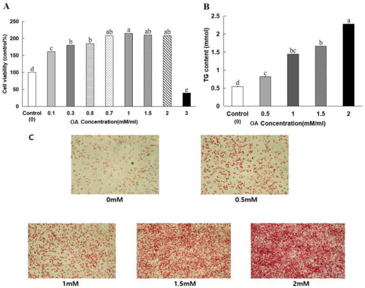 https://cdn.ncbi.nlm.nih.gov/pmc/blobs/ce33/11054963/c792d57f1217/nutrients-16-01239-g003.jpg