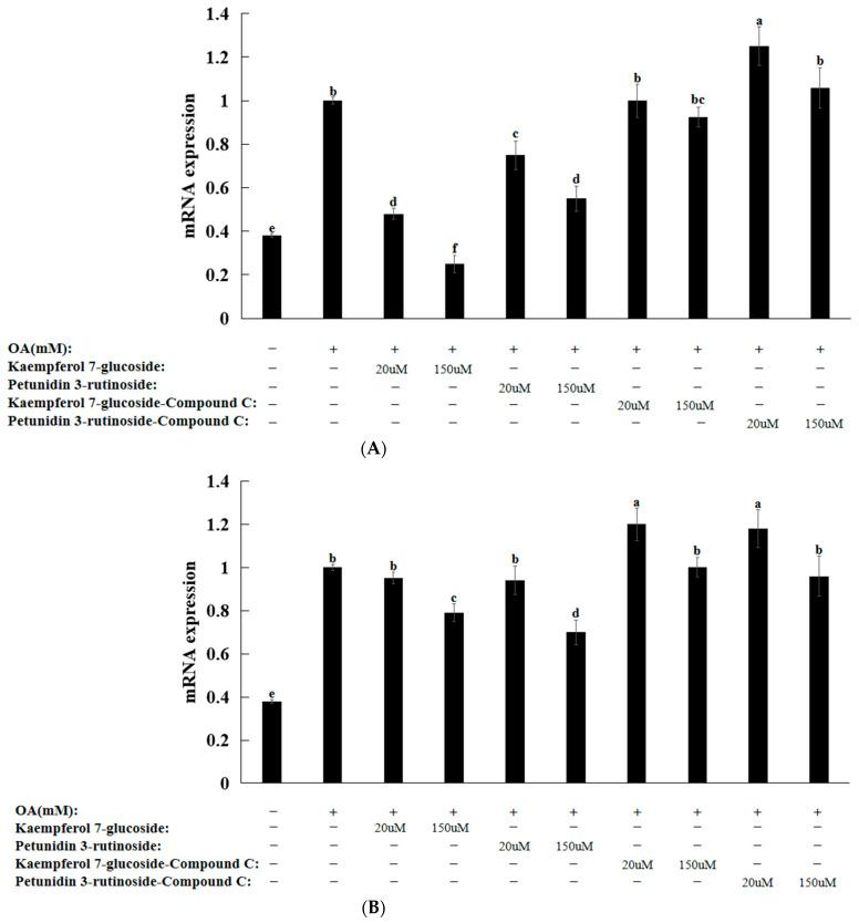 https://cdn.ncbi.nlm.nih.gov/pmc/blobs/ce33/11054963/dd51d314b2a6/nutrients-16-01239-g006.jpg
