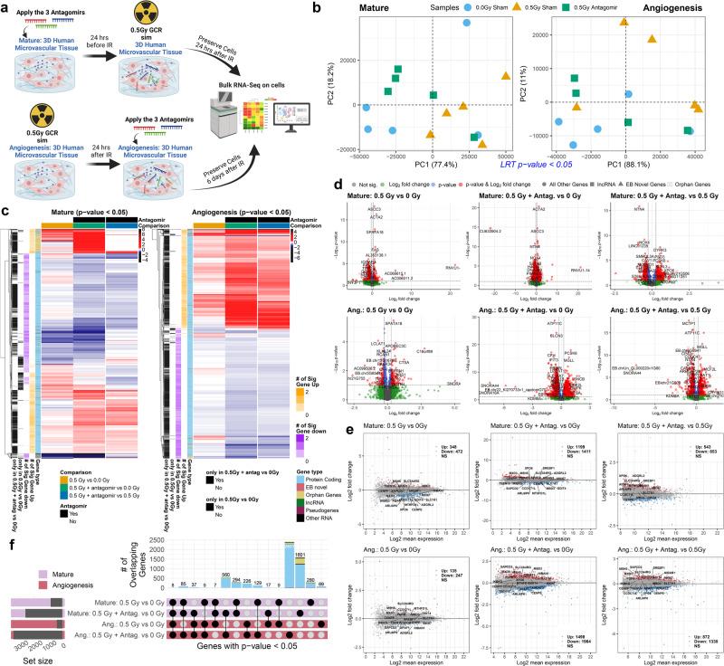 https://cdn.ncbi.nlm.nih.gov/pmc/blobs/ce34/11166944/3b94db388cf0/41467_2024_48920_Fig4_HTML.jpg