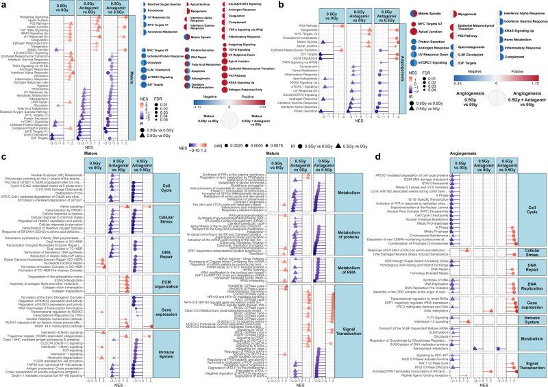 https://cdn.ncbi.nlm.nih.gov/pmc/blobs/ce34/11166944/75fdff928aab/41467_2024_48920_Fig8_HTML.jpg