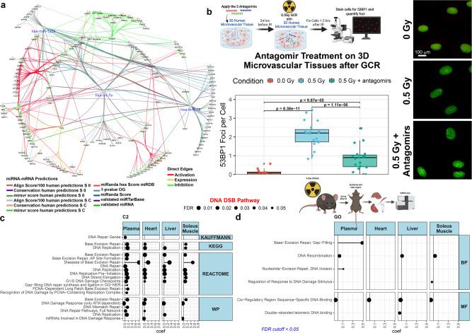 https://cdn.ncbi.nlm.nih.gov/pmc/blobs/ce34/11166944/785cf23d8472/41467_2024_48920_Fig2_HTML.jpg