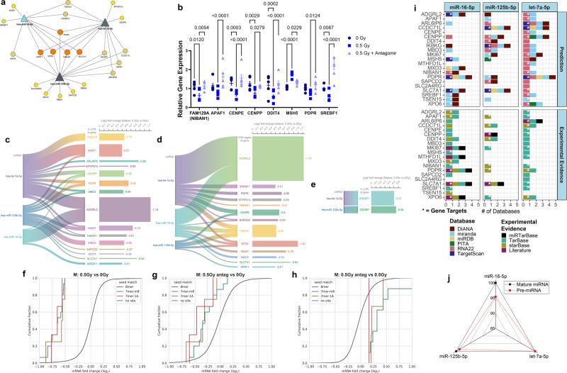 https://cdn.ncbi.nlm.nih.gov/pmc/blobs/ce34/11166944/dd696101a1c5/41467_2024_48920_Fig5_HTML.jpg