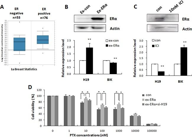 https://cdn.ncbi.nlm.nih.gov/pmc/blobs/ce34/5348405/a938698166db/oncotarget-07-81452-g006.jpg