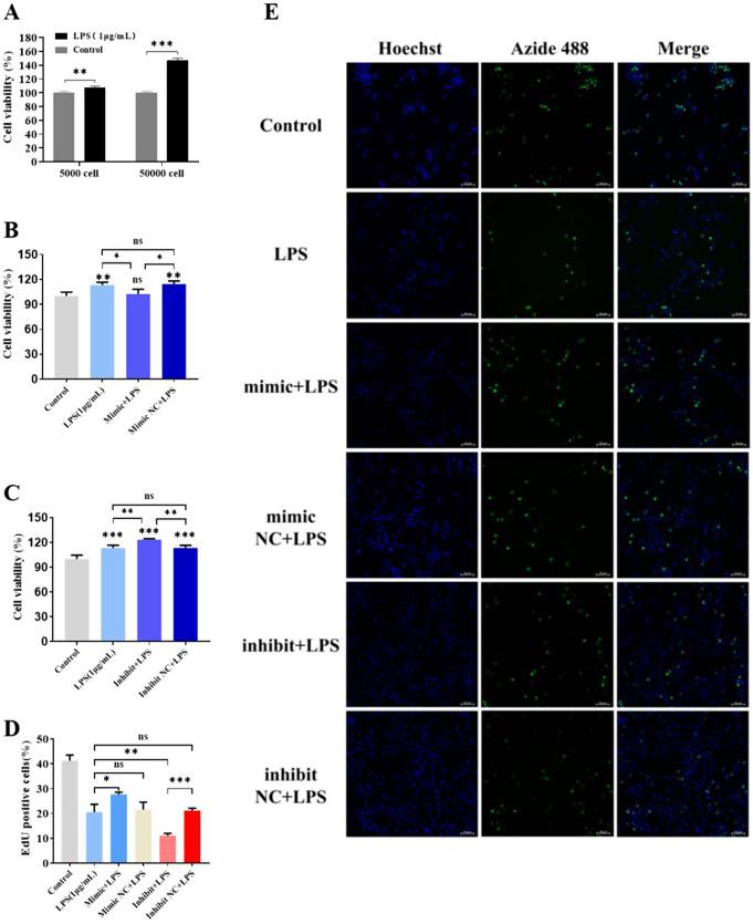 https://cdn.ncbi.nlm.nih.gov/pmc/blobs/ce39/11666615/2778cd29a14a/68_2024_2588_Fig4_HTML.jpg