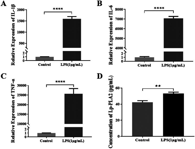 https://cdn.ncbi.nlm.nih.gov/pmc/blobs/ce39/11666615/35aab026c8d0/68_2024_2588_Fig1_HTML.jpg