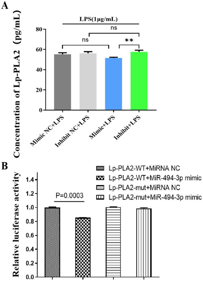https://cdn.ncbi.nlm.nih.gov/pmc/blobs/ce39/11666615/c262e88d19bf/68_2024_2588_Fig2_HTML.jpg