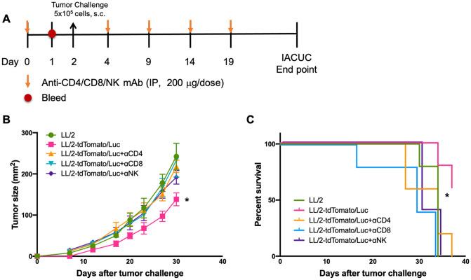 https://cdn.ncbi.nlm.nih.gov/pmc/blobs/ce39/8376001/849813187201/pone.0254125.g004.jpg