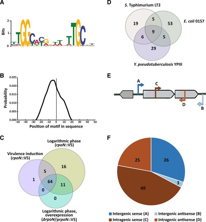 https://cdn.ncbi.nlm.nih.gov/pmc/blobs/ce3a/7657599/1f06dada2d82/mSystems.01006-20-f0002.jpg
