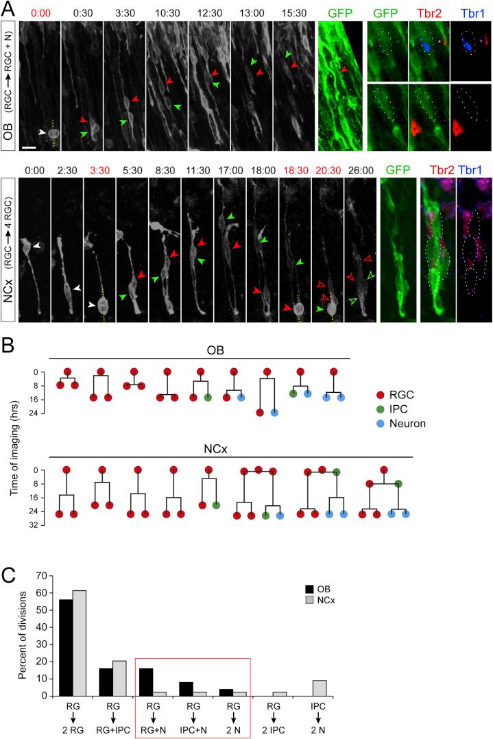 https://cdn.ncbi.nlm.nih.gov/pmc/blobs/ce3b/6063992/19408198171a/figs3.jpg