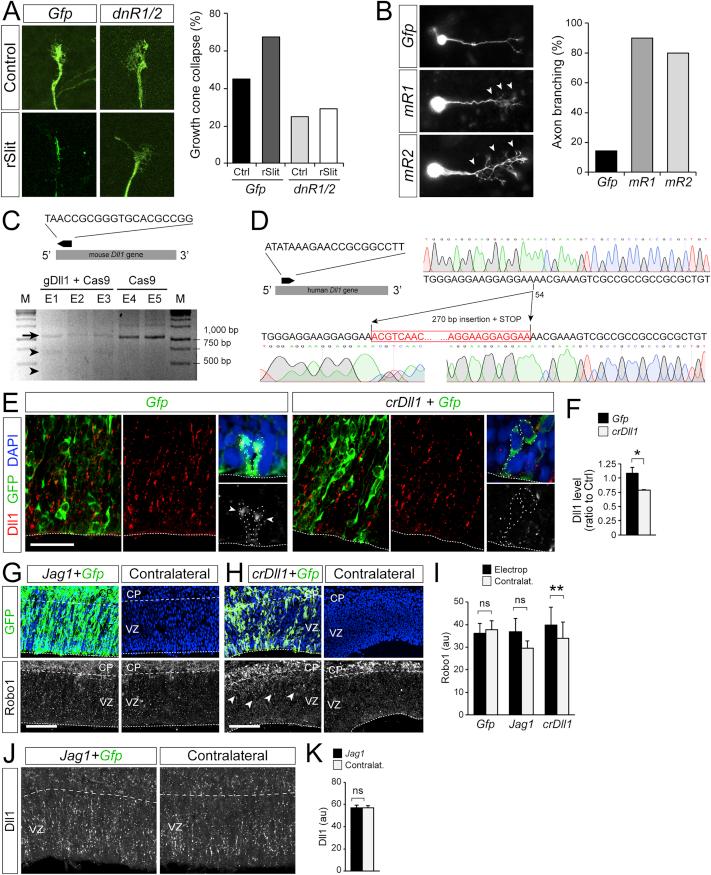 https://cdn.ncbi.nlm.nih.gov/pmc/blobs/ce3b/6063992/4811ac85e34f/figs6.jpg