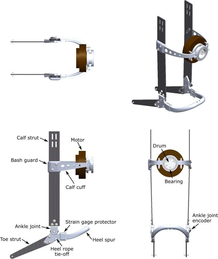 https://cdn.ncbi.nlm.nih.gov/pmc/blobs/ce3d/9556303/77e984ac9fb9/41586_2022_5191_Fig8_ESM.jpg