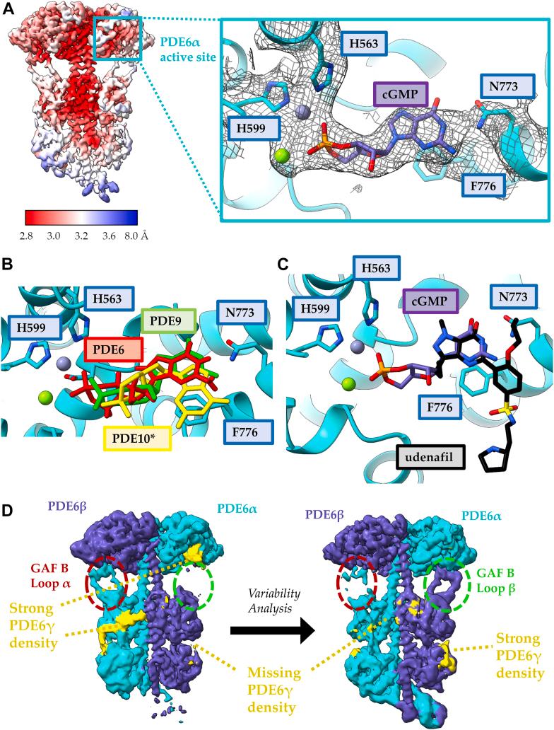 https://cdn.ncbi.nlm.nih.gov/pmc/blobs/ce3e/10838916/79c36e1bf8d9/gr4.jpg