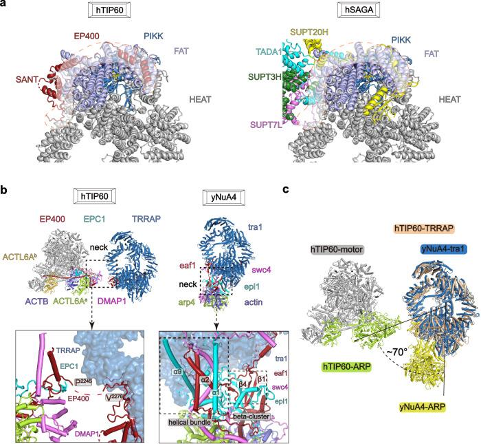 https://cdn.ncbi.nlm.nih.gov/pmc/blobs/ce3e/11330486/553005bd5921/41467_2024_51259_Fig4_HTML.jpg
