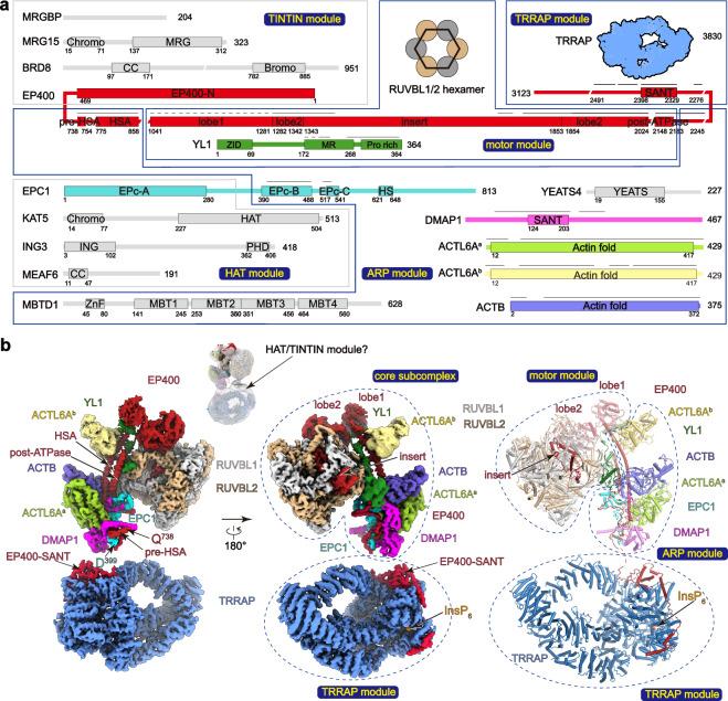 https://cdn.ncbi.nlm.nih.gov/pmc/blobs/ce3e/11330486/82533042335a/41467_2024_51259_Fig1_HTML.jpg