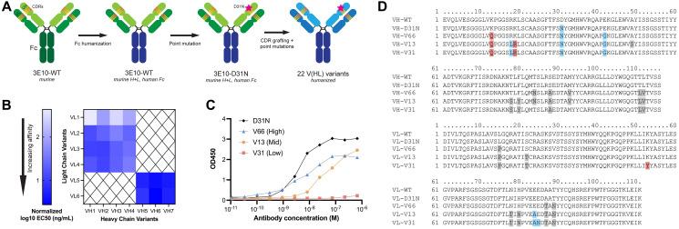 https://cdn.ncbi.nlm.nih.gov/pmc/blobs/ce40/11444335/b1a4110399ac/oncotarget-15-28651-g001.jpg