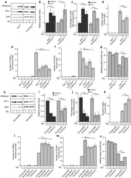 https://cdn.ncbi.nlm.nih.gov/pmc/blobs/ce40/4012297/1b47a626cff7/nihms-560028-f0002.jpg