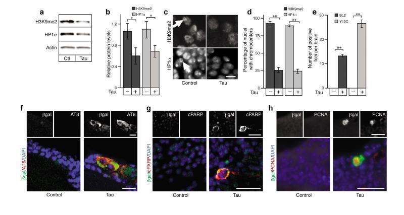 https://cdn.ncbi.nlm.nih.gov/pmc/blobs/ce40/4012297/4ebd7702290a/nihms-560028-f0001.jpg
