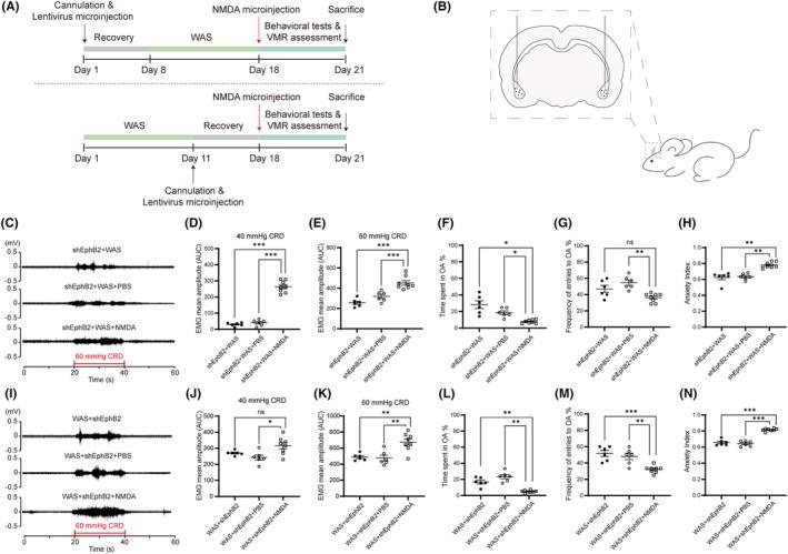 https://cdn.ncbi.nlm.nih.gov/pmc/blobs/ce41/10865153/355539d9848d/CNS-30-e14611-g002.jpg