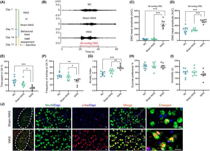https://cdn.ncbi.nlm.nih.gov/pmc/blobs/ce41/10865153/503436d8df58/CNS-30-e14611-g005.jpg