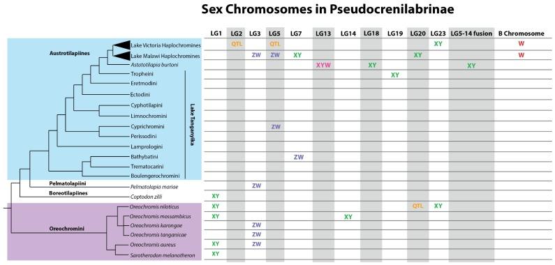 https://cdn.ncbi.nlm.nih.gov/pmc/blobs/ce41/6210639/2c44e55d7bce/genes-09-00480-g002.jpg