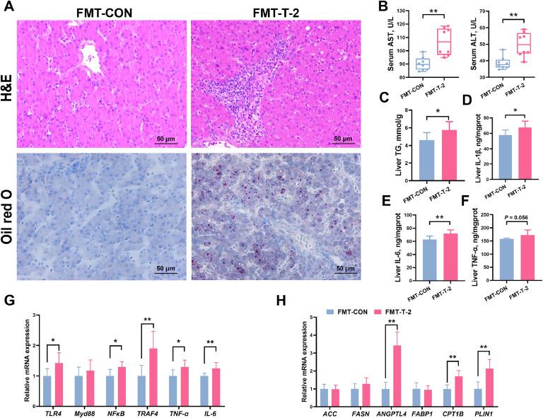 https://cdn.ncbi.nlm.nih.gov/pmc/blobs/ce43/12332938/4ff72aa866ba/gr6.jpg