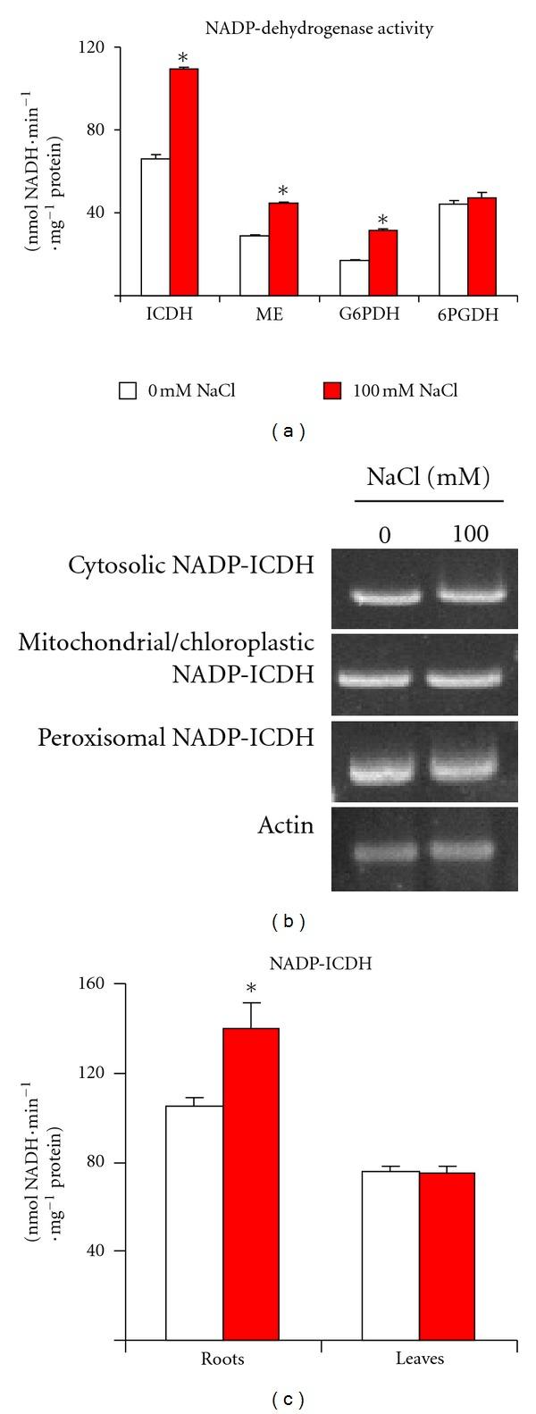 https://cdn.ncbi.nlm.nih.gov/pmc/blobs/ce43/3354597/844deb9e1e56/TSWJ2012-694740.004.jpg