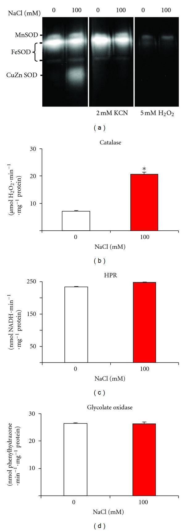 https://cdn.ncbi.nlm.nih.gov/pmc/blobs/ce43/3354597/e64415f0df80/TSWJ2012-694740.002.jpg