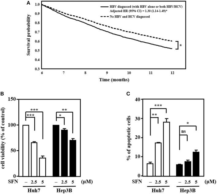 https://cdn.ncbi.nlm.nih.gov/pmc/blobs/ce44/7931828/1159dbb61937/fcell-08-596655-g0001.jpg